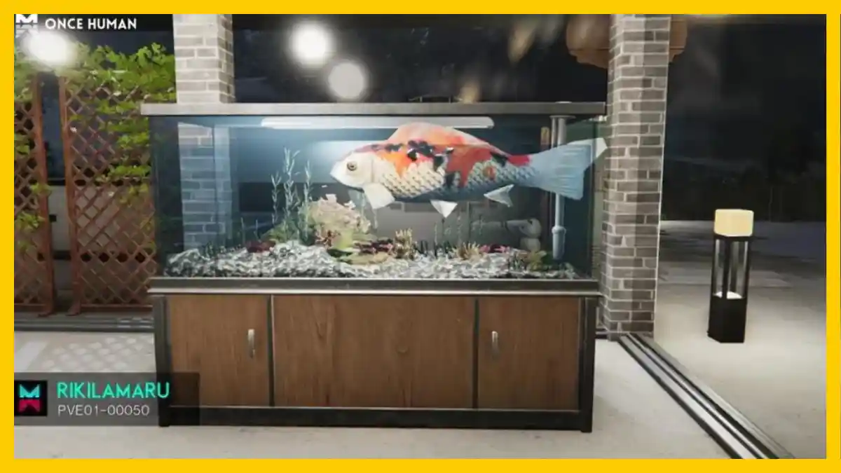 Wie man ein Aquarium in Once Human bekommt